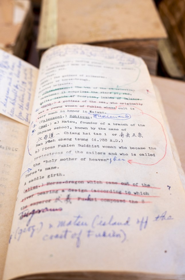An open page from the dictionary draft.